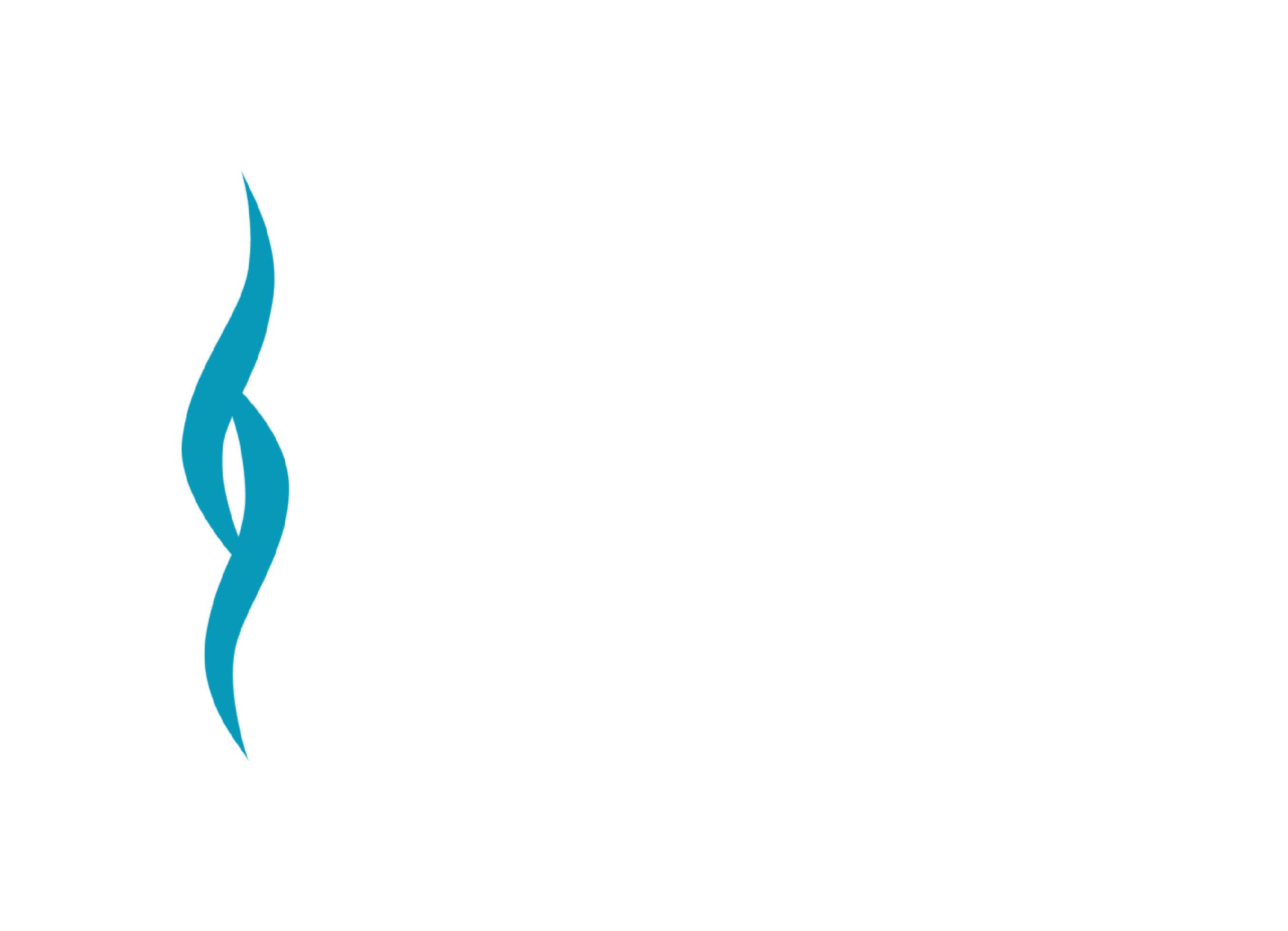 Nebraska Spine Logo